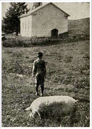Henry Mauer on the way to Sunday school with his pig.